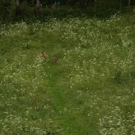 Dom Panorama Pod Gwiazdami * Kopaniec
