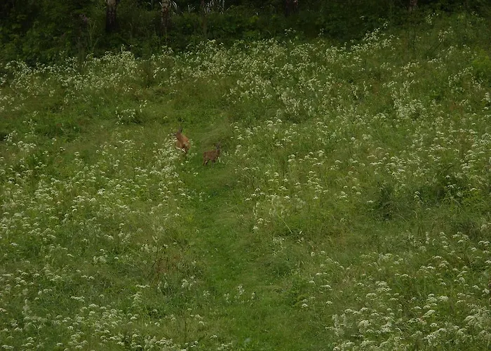 Dom Panorama Pod Gwiazdami * Kopaniec